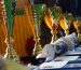 DSC06602 (1)